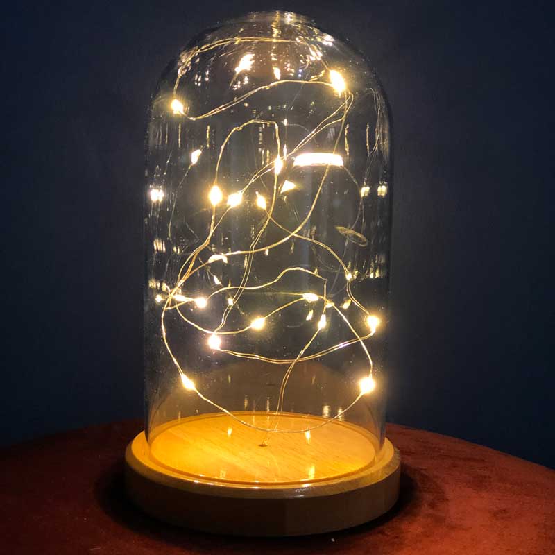 Illuminated Glass Fanus Daylight LED Table Lamp