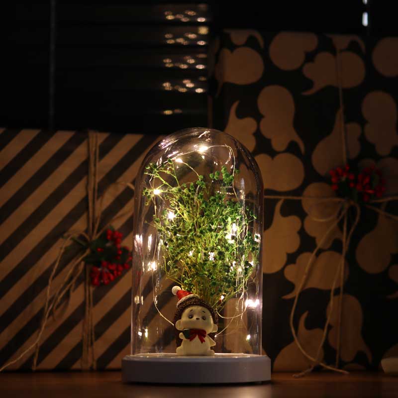 Lámpara de pestañas y figura floral de Fanus de vidrio iluminado