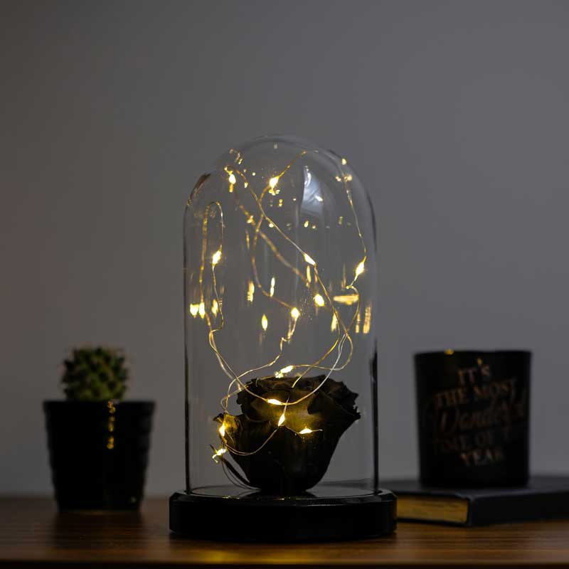 Black faded rose illuminated glass fanus lamp