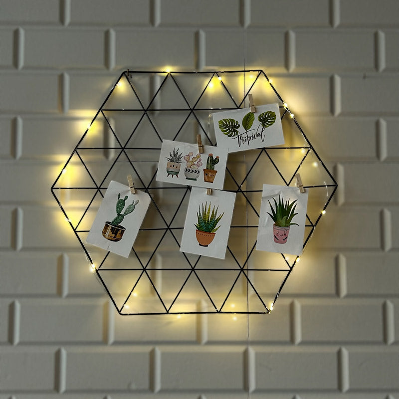 Black Hexagonal Wire Panel with Lights and Latch