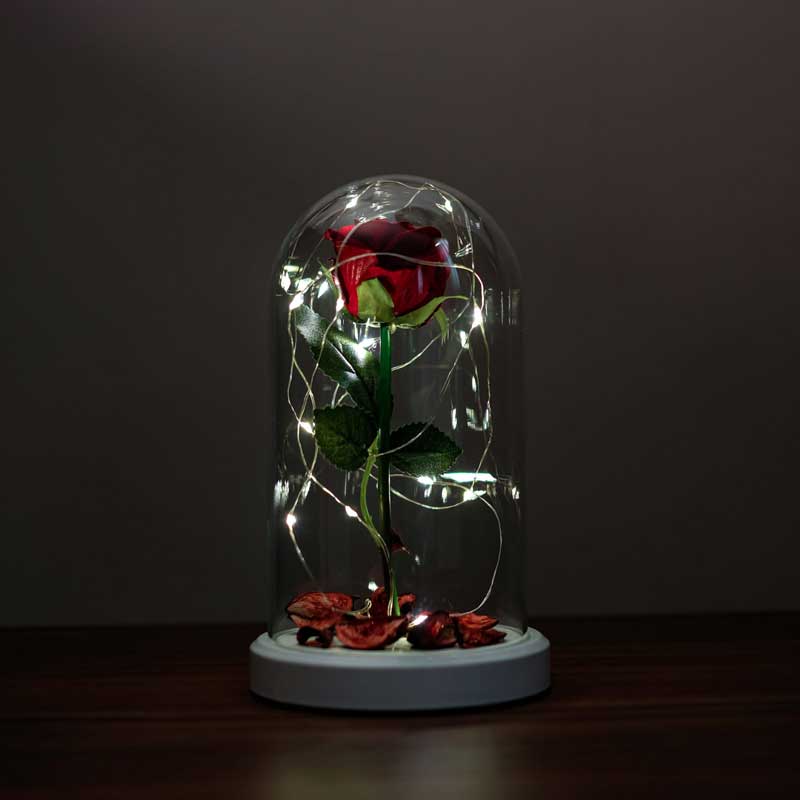 Red Rose Illuminated Glass Fanus Led Table Lamp