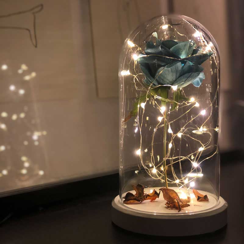 Blue rose illuminated glass fanus lamp