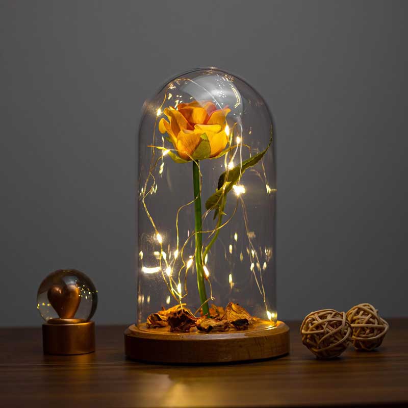 Orange Rose Illuminated Glass Fanus Lamp